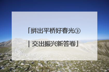 拼出平桥好春光③｜交出振兴新答卷